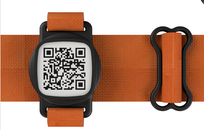 Smart Pet Tag with AirTag Cavity + QR Code